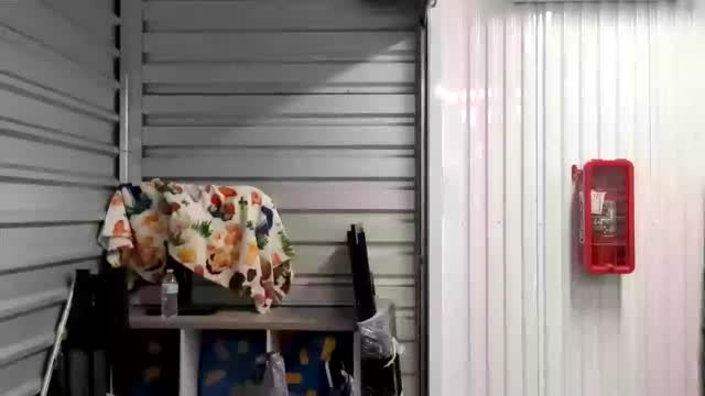 Peanuts